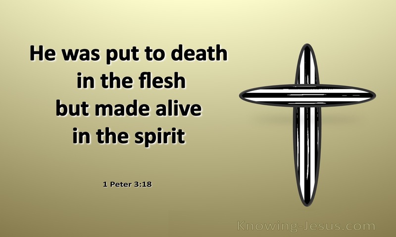 1 Peter 3:18 Made Alive In The Spirit (white)